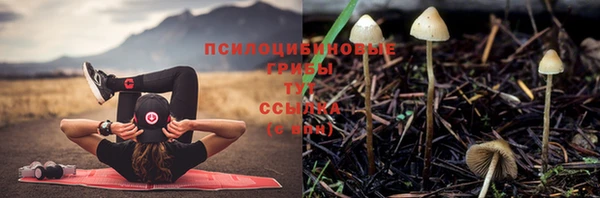 кокаин колумбия Богданович