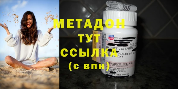 прущие грибы Белокуриха