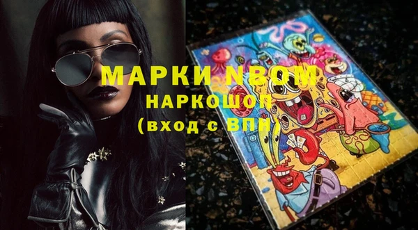 прущие грибы Белокуриха