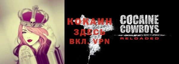 крисы Инта