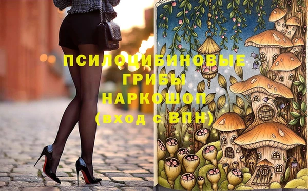 эйфоретик Богородск