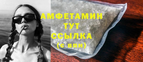 прущие грибы Белокуриха