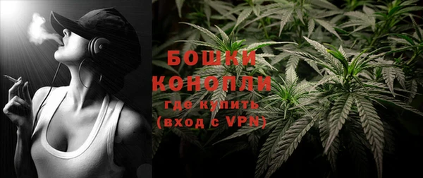прущие грибы Белокуриха